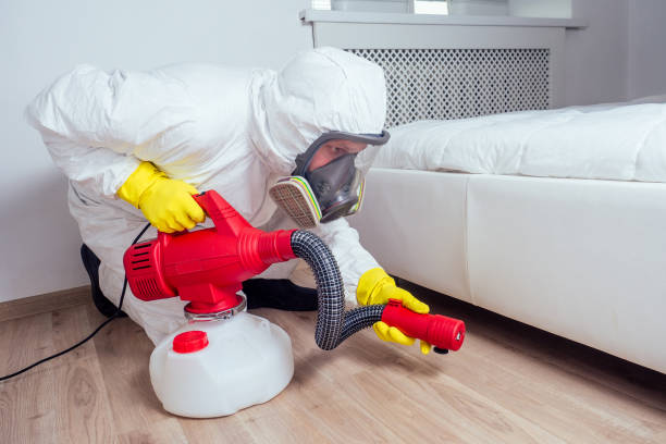 Reliable Austin, TX Pest Control Solutions