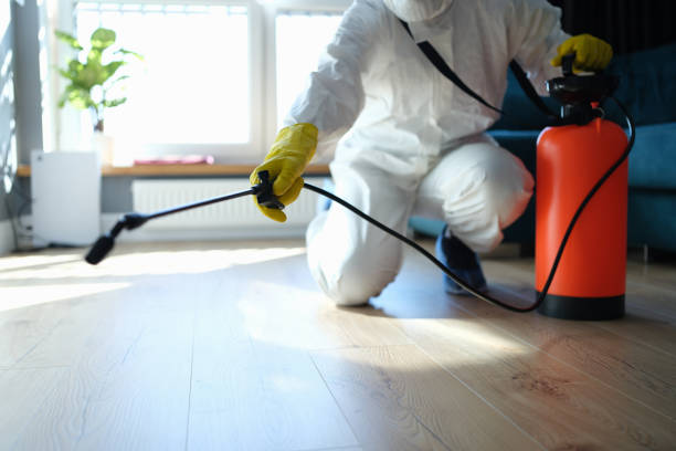Best Local Pest Control Services  in Austin, TX
