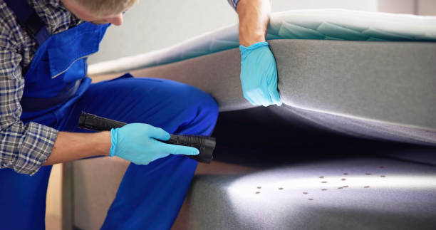 Reliable Austin, TX Pest Control Solutions